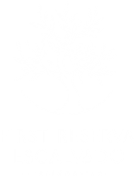 logo-first-reserva-escalvado-barra-velha-250
