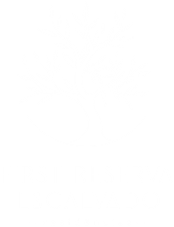 logo-first-reserva-escalvado-barra-velha-n